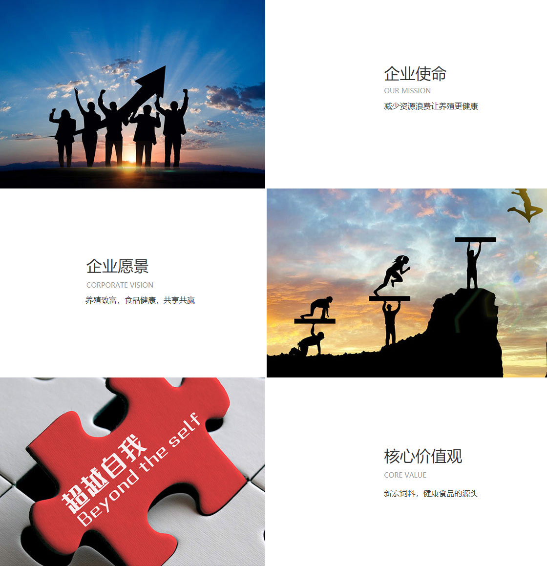 333体育官网(图1)